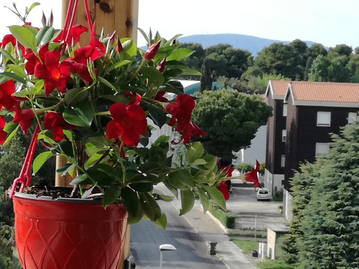 Appartamento nel blu dipinto di blu Porto Recanati Esterno foto